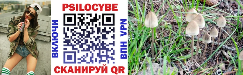 Галлюциногенные грибы Psilocybe  Купить закладки  Олонец 
