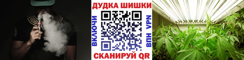 Купить где  Олонец  Каннабис VHQ 